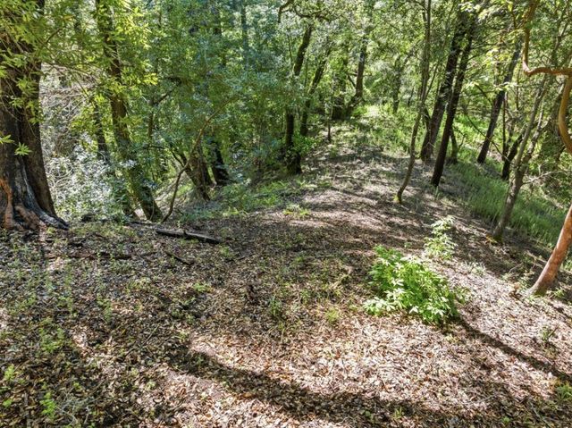 360 Rincon Way, Boulder Creek, CA 95006