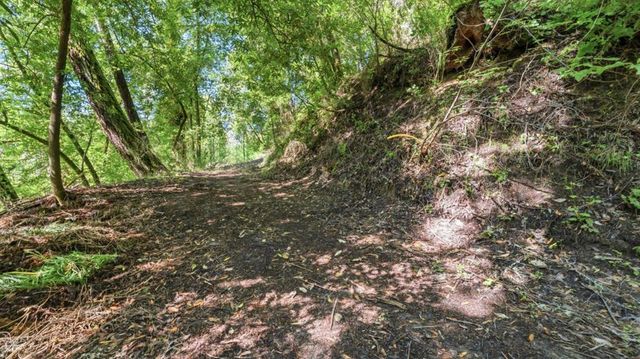360 Rincon Way, Boulder Creek, CA 95006
