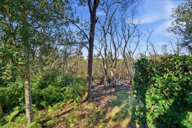 10124 ARBOR RUN DRIVE, Tampa, FL 33647