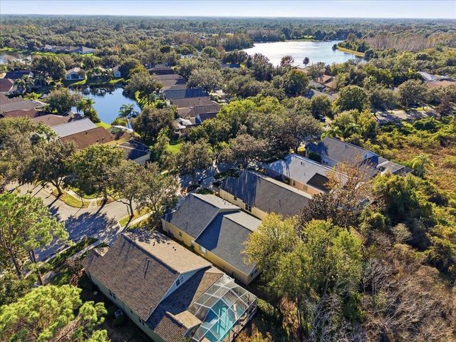 10124 ARBOR RUN DRIVE, Tampa, FL 33647