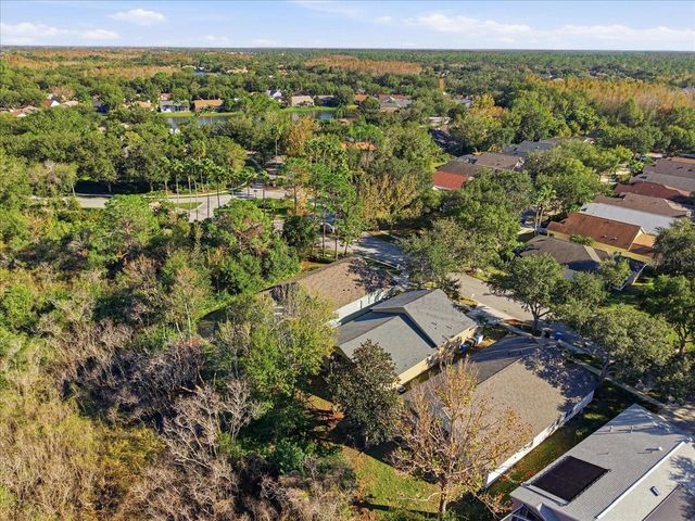 10124 ARBOR RUN DRIVE, Tampa, FL 33647