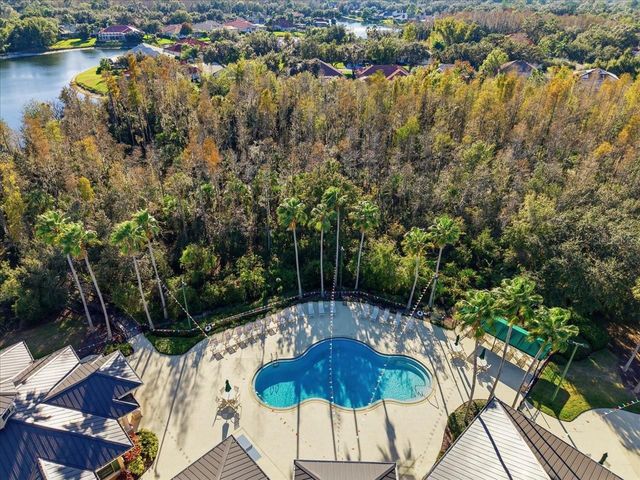 10124 ARBOR RUN DRIVE, Tampa, FL 33647