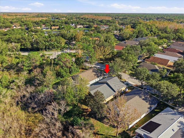 10124 ARBOR RUN DRIVE, Tampa, FL 33647