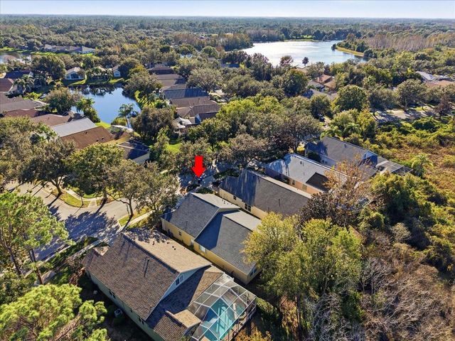 10124 ARBOR RUN DRIVE, Tampa, FL 33647