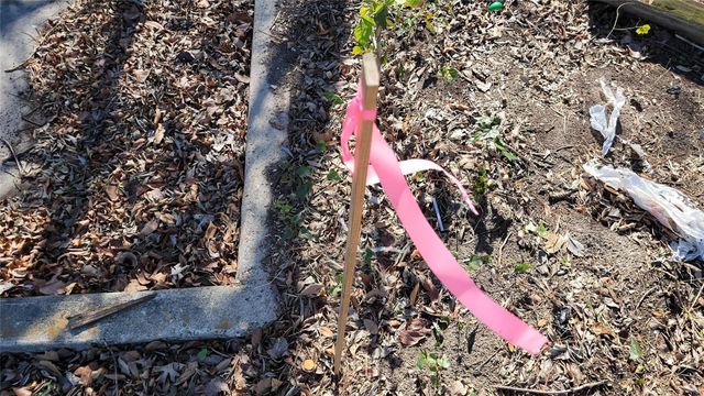 7051 Majestic Oaks Drive, Houston, TX 77088