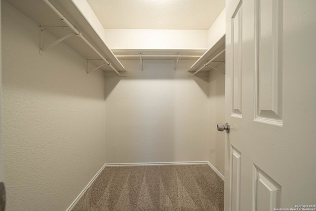 6807 Elmwood, Live Oak, TX 78233