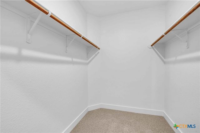 8817 Ponderosa Pine Road, Temple, TX 76502