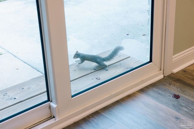 5580 Homewood Rd, Pensacola, FL 32504