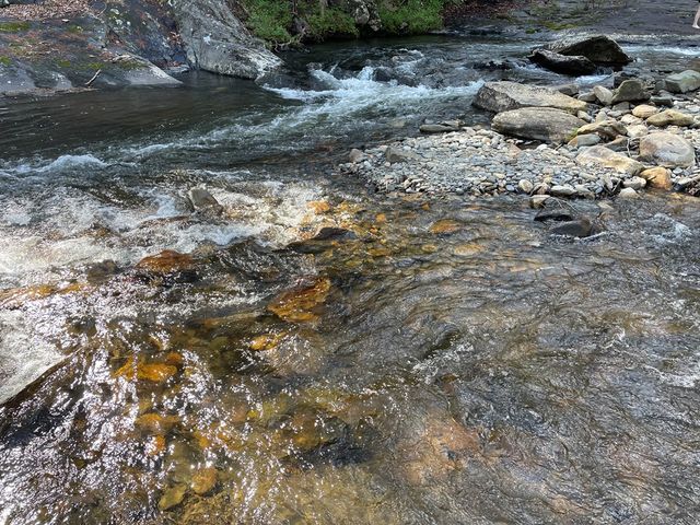 Lot 89 Spectacular, Hayesville, NC 28904