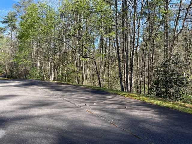 Lot 89 Spectacular, Hayesville, NC 28904