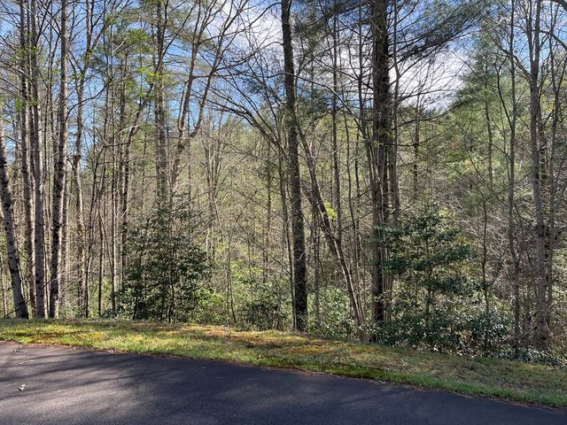 Lot 89 Spectacular, Hayesville, NC 28904