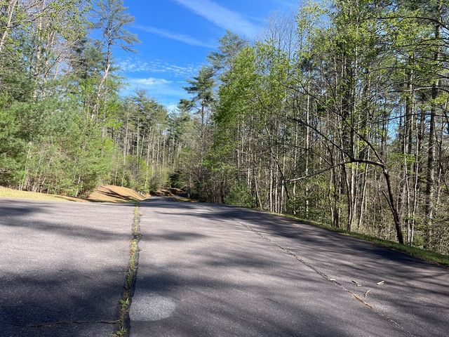 Lot 89 Spectacular, Hayesville, NC 28904