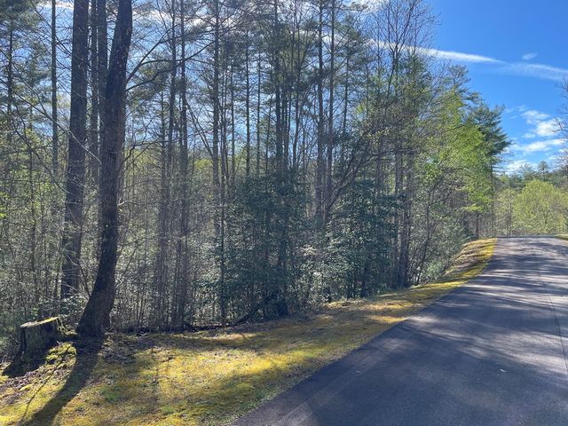 Lot 89 Spectacular, Hayesville, NC 28904