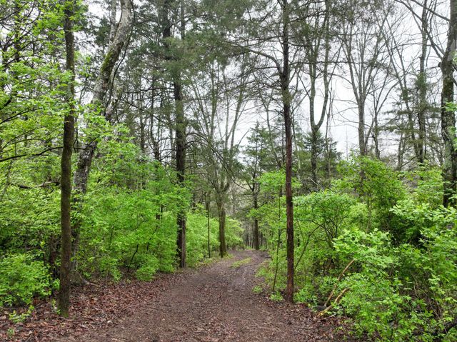 1865 Carters Creek PIKE, Franklin, TN 37064