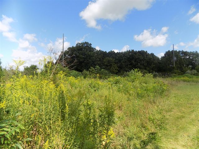 0 Mountain Road, Coloma, MI 49038