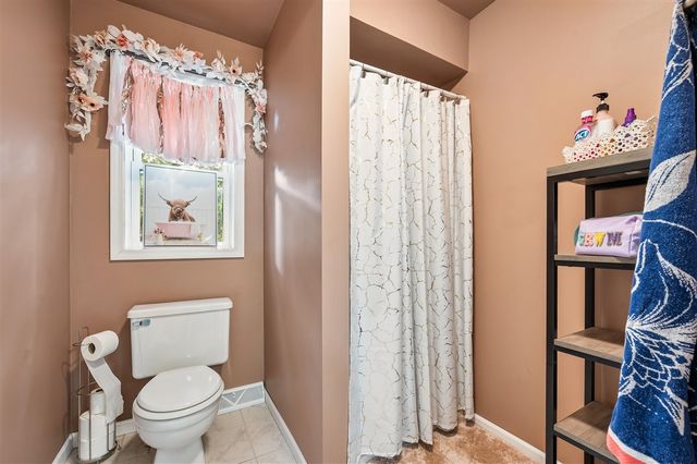 13421 Woodland Court, Big Rapids, MI 49307