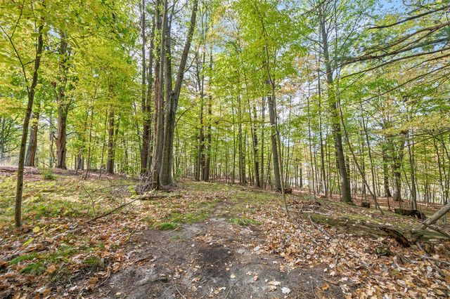 13421 Woodland Court, Big Rapids, MI 49307