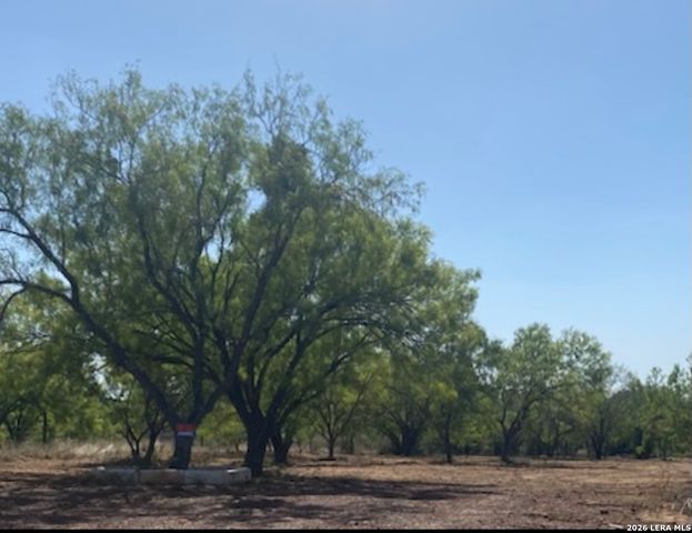 138 CR 2666, Moore, TX 78015