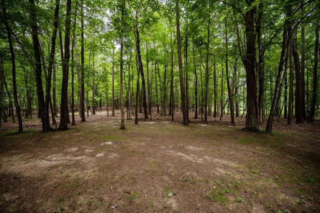 3659 Pea Ridge Rd, Liberty, TN 37095