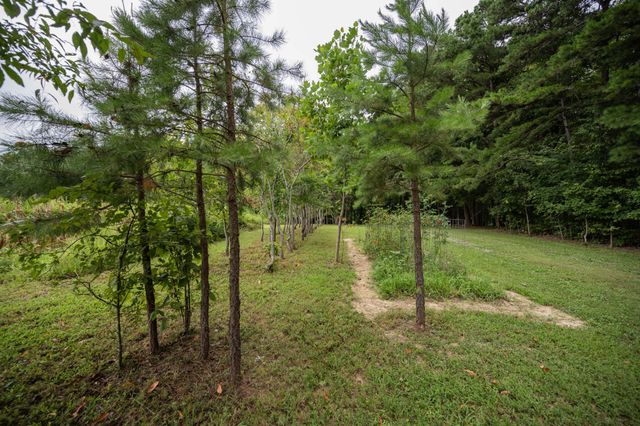 3659 Pea Ridge Rd, Liberty, TN 37095