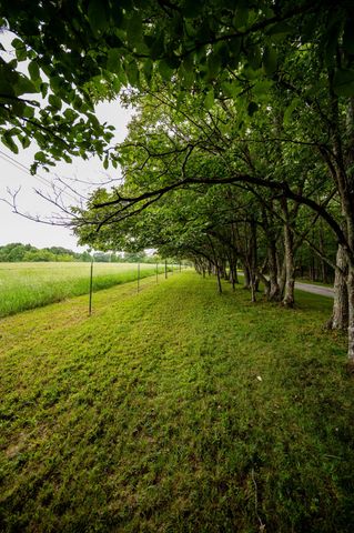 3659 Pea Ridge Rd, Liberty, TN 37095