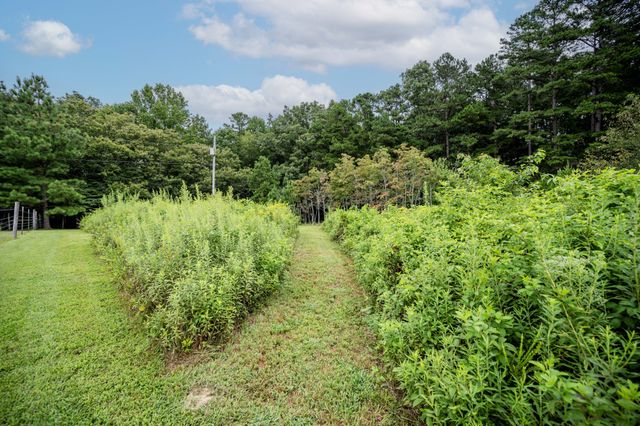 3659 Pea Ridge Rd, Liberty, TN 37095