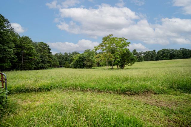 3659 Pea Ridge Rd, Liberty, TN 37095