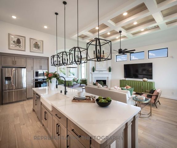 31007 Peony Place Drive, Fulshear, TX 77441