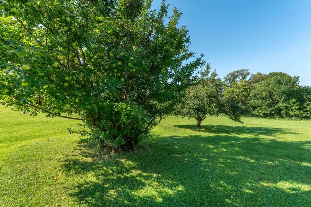 23245 County Highway 35, Sverdrup Twp, MN 56586