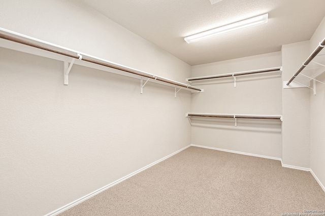 12638 Red Maple Way, San Antonio, TX 78253