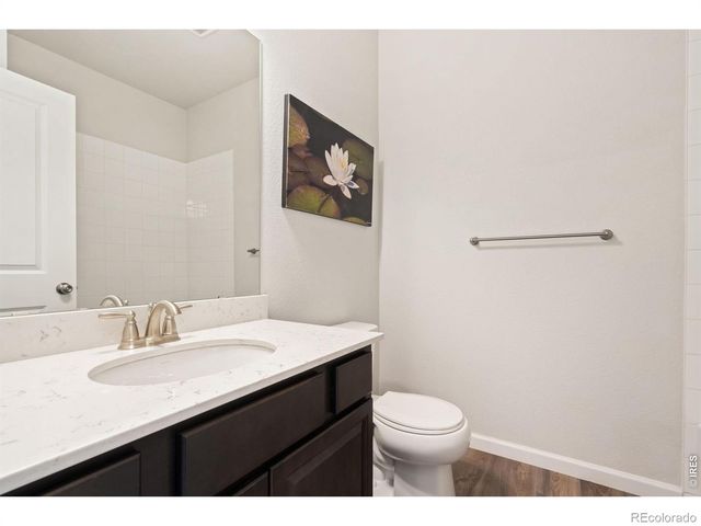 4419 Caramel Street, Timnath, CO 80547