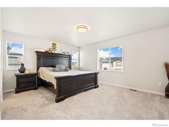 4419 Caramel Street, Timnath, CO 80547