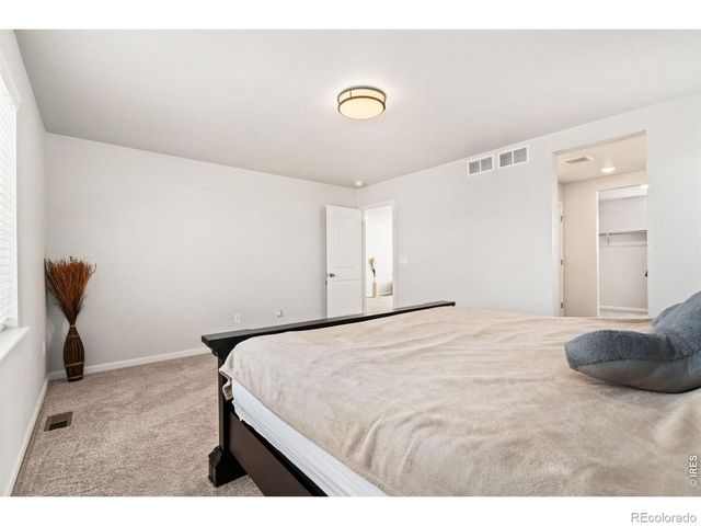 4419 Caramel Street, Timnath, CO 80547