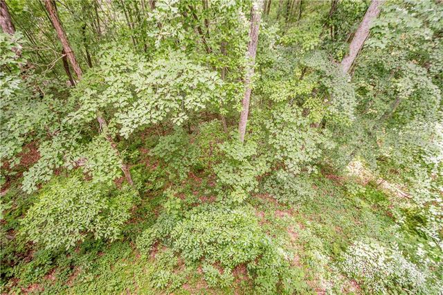 213 Moonshine Hollow, Blue Ridge, GA 30513