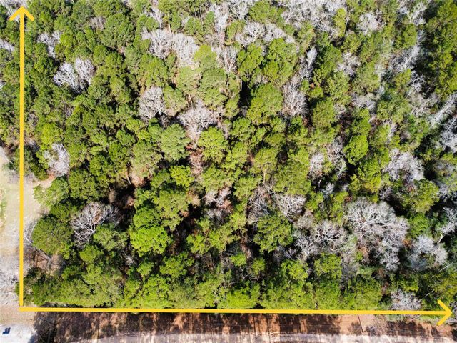 0 Old Little Road, Conroe, TX 77303