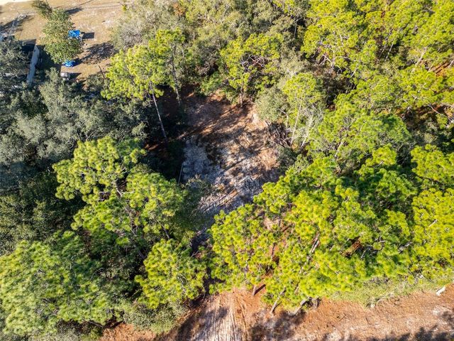 331 QUAIL HOLLOW ROAD, Satsuma, FL 32189