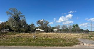 0 Brinks Willis Road, Foley, AL 36535
