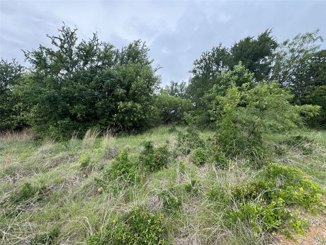 118 Demonbreun Court, Chico, TX 76431