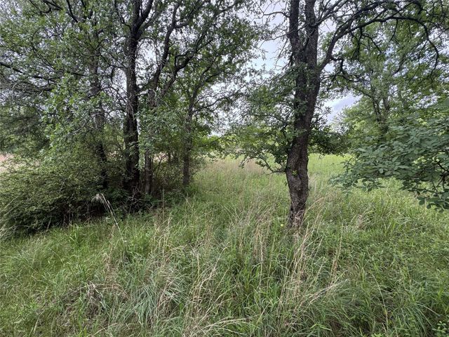 118 Demonbreun Court, Chico, TX 76431