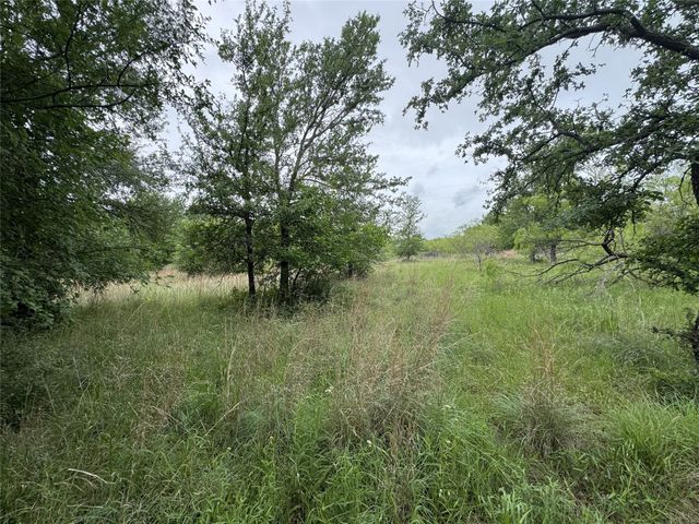 118 Demonbreun Court, Chico, TX 76431