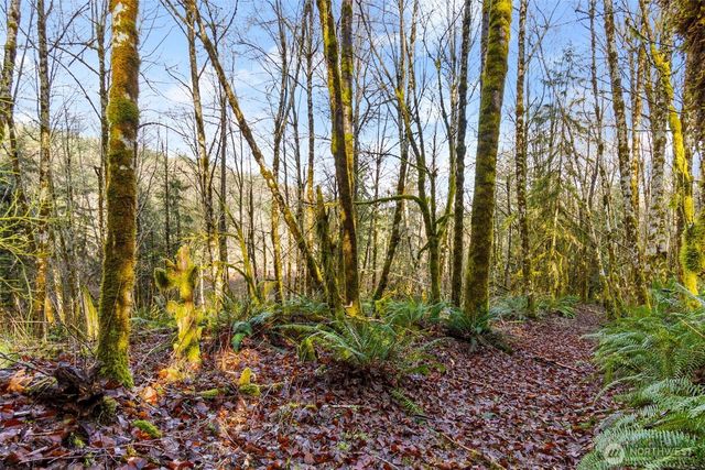 7848 Wapiti Lane SE, Tenino, WA 98589