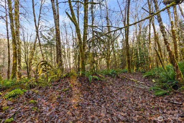 7848 Wapiti Lane SE, Tenino, WA 98589