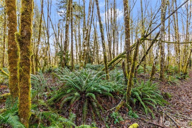 7848 Wapiti Lane SE, Tenino, WA 98589