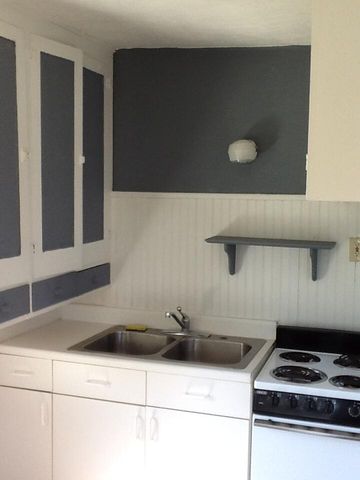 304 S Main Street, Mount Pleasant, MI 48858