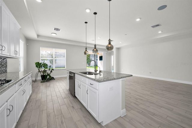 21654 BILLOWY JAUNT DRIVE, Land O Lakes, FL 34637