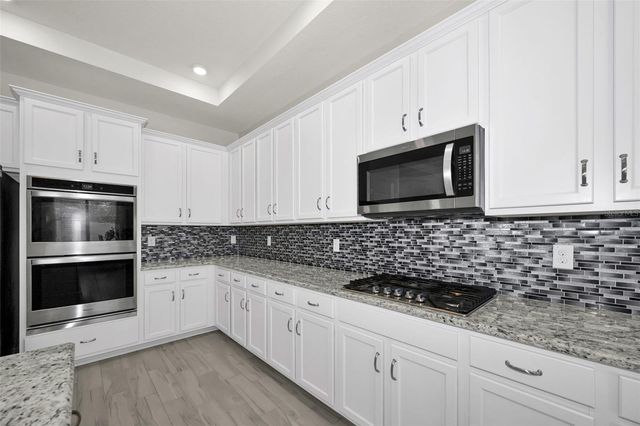 21654 BILLOWY JAUNT DRIVE, Land O Lakes, FL 34637