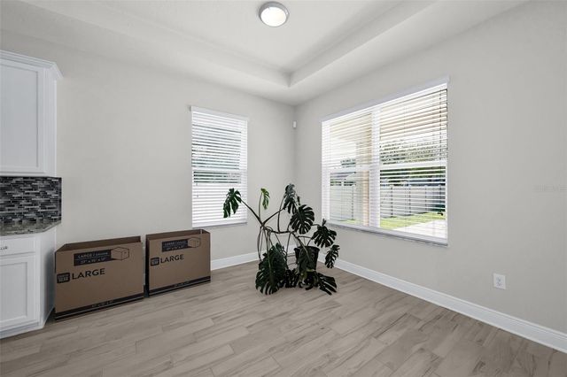 21654 BILLOWY JAUNT DRIVE, Land O Lakes, FL 34637