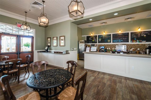 21654 BILLOWY JAUNT DRIVE, Land O Lakes, FL 34637