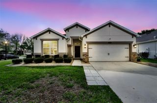 21654 BILLOWY JAUNT DRIVE, Land O Lakes, FL 34637