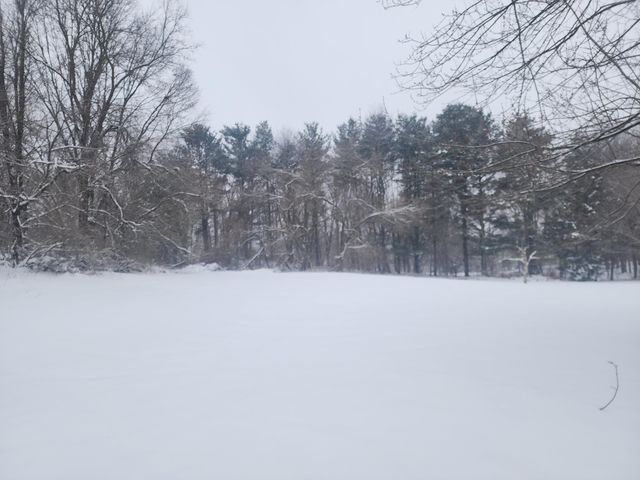 25113 12th Avenue, Gobles, MI 49055